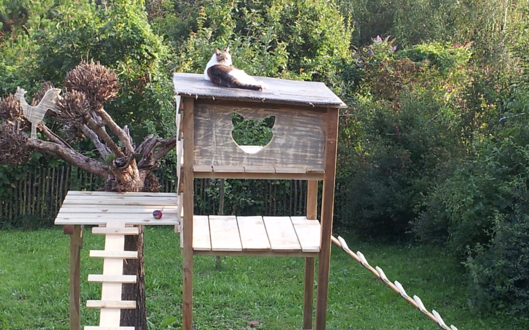 Holzhaus im Garten für deine Katzen