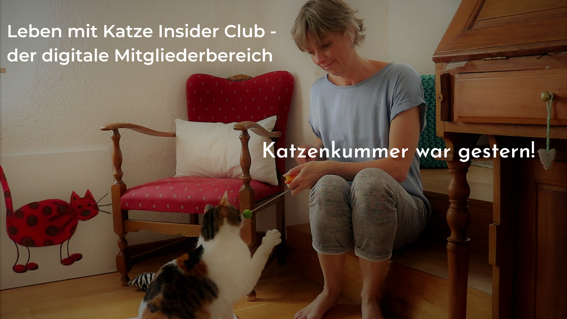 Leben mit Katze Insider Club 4 leben-mit-katze-mitgliederbereich