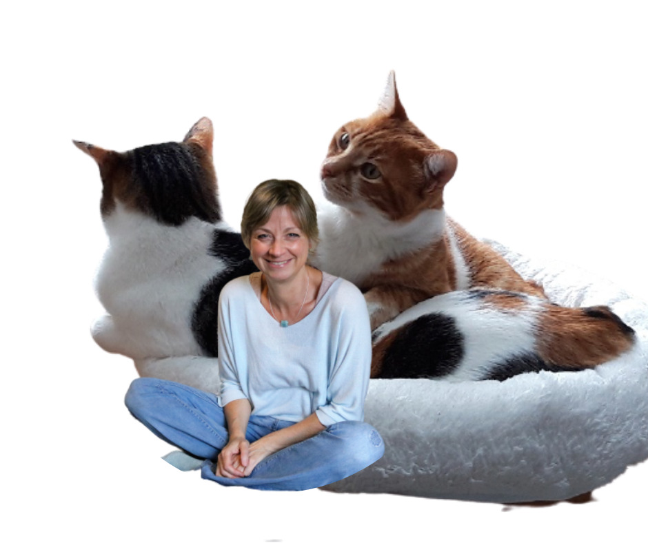 Katja Henopp Katzenpsychologe
fürsorgliche Katzeneltern