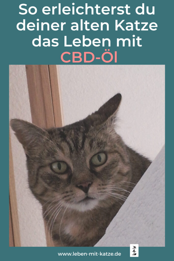 CBD-Öl fuer katzen