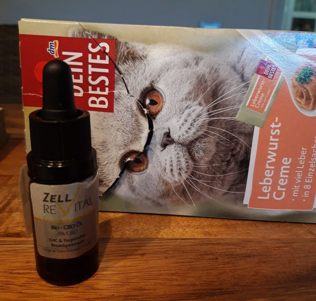 empfehlung fuer cbd-oel fuer katzen