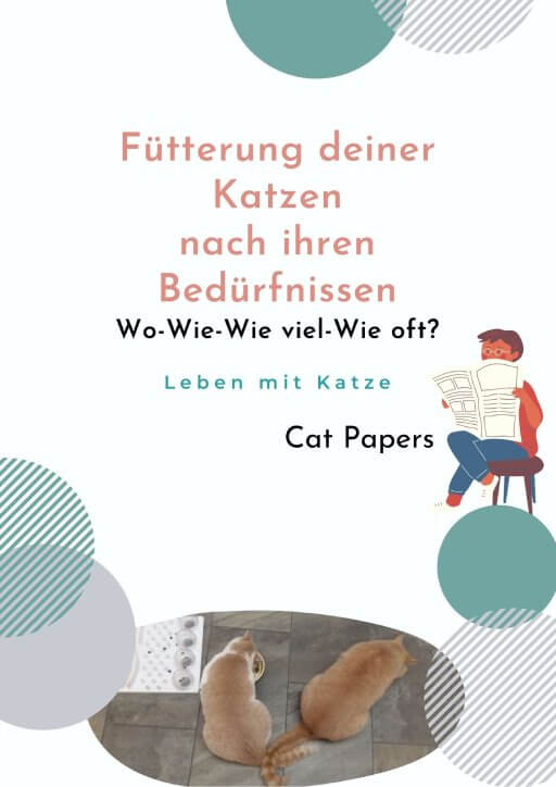 Cat-Papers-Fuetterung-Katze