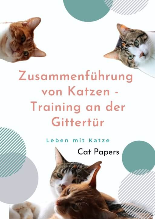 Cat Papers Training-an-Gittertuer