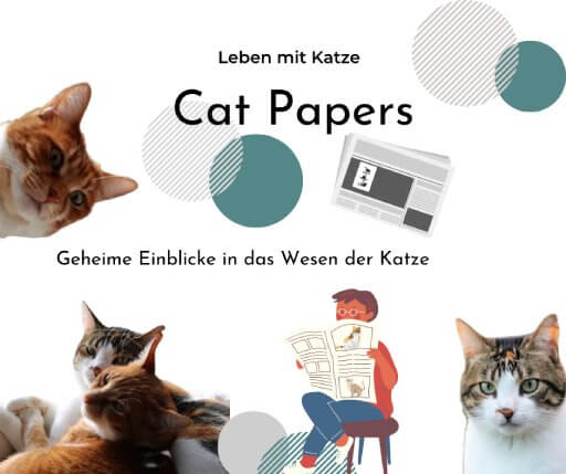 Empfehlung Cat-Papers