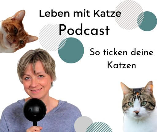 Katzen Podcast Katja Henopp