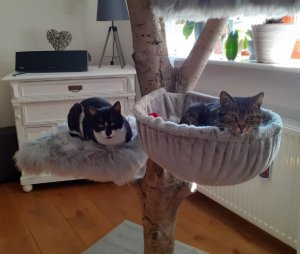 Tiki und Paul, Karin Zöppig Tiki und Paul, Karin Zöppig