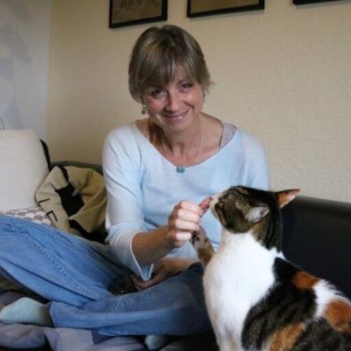 Umzug Katze Katja Henopp