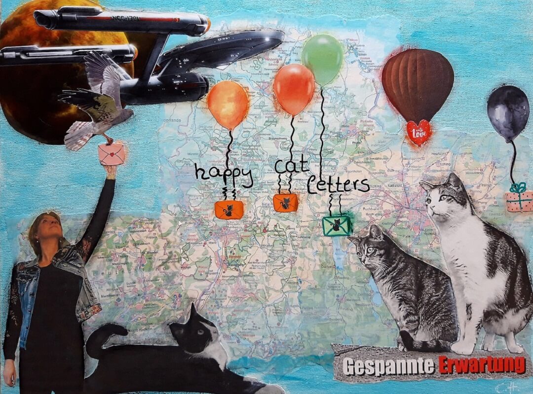 collage happy cat letters leben mit katze