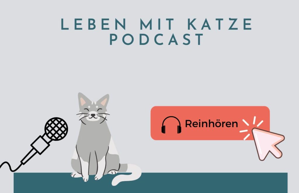 Katzen Podcast