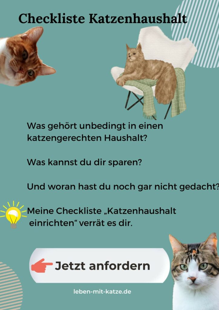 Checkliste Katzenhaushalt