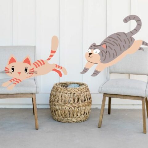 Katze Lauft Hin Und Her Und Miaut