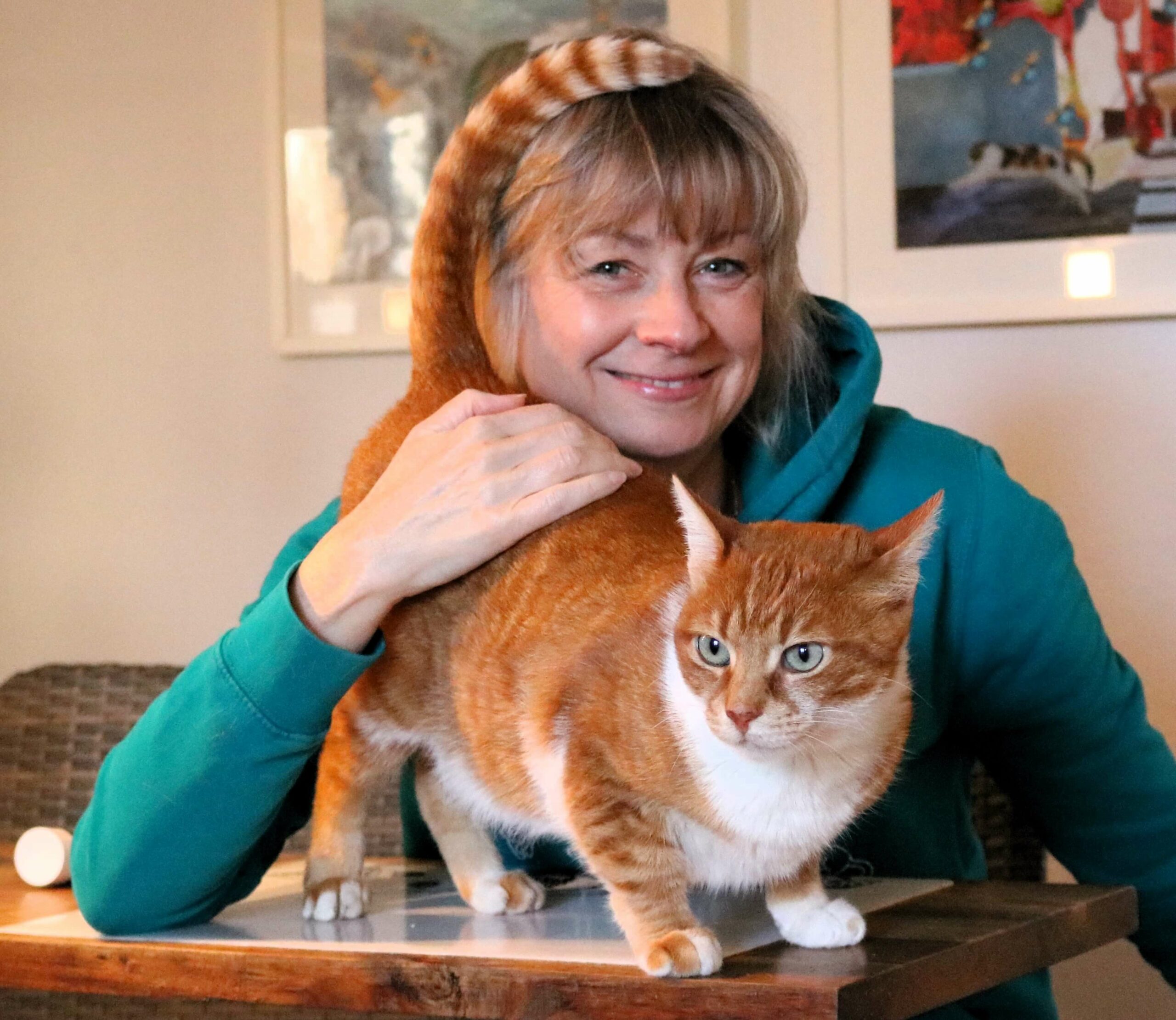 Katja Henopp Katzenpsychologin Katzenclub Mitgliederbereich leben mit katze