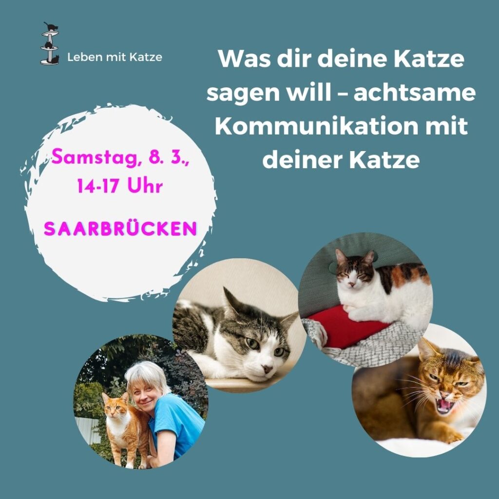 Vortrag Katzenverhalten Saarbrücken