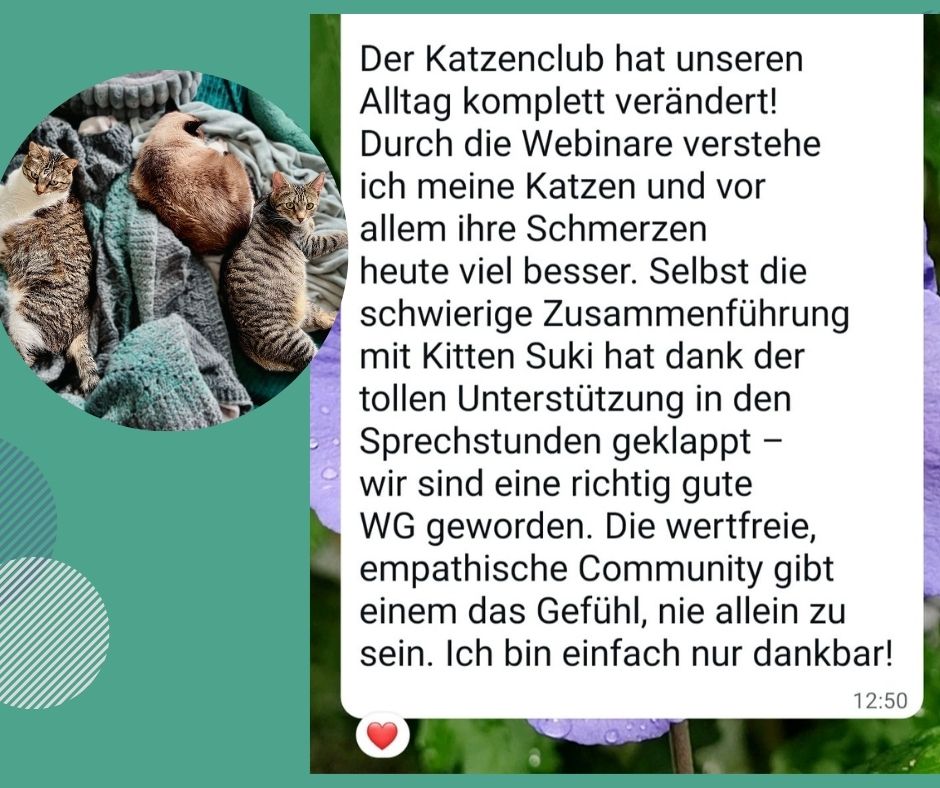 Bewertung Katzenclub Katja Henopp