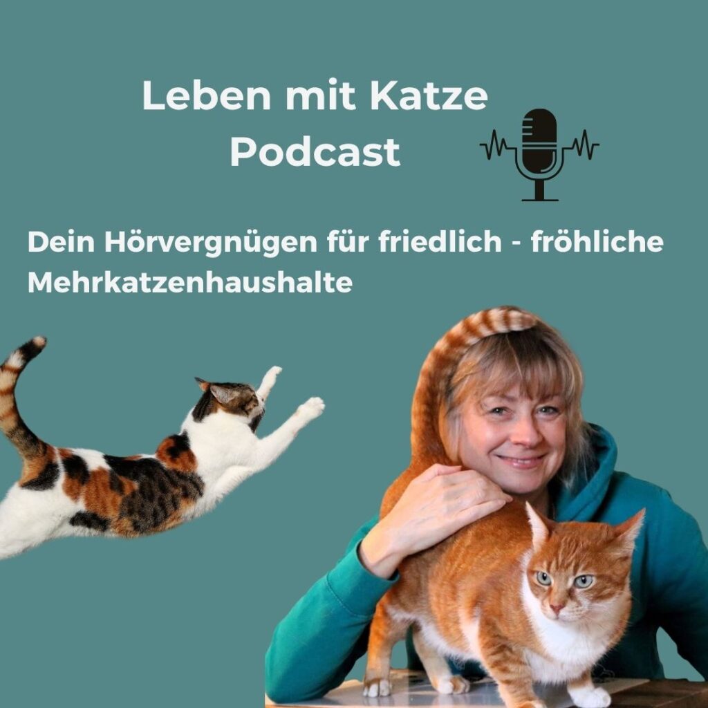 Leben mit Katze Podcast Mehrkatzenhaushalt