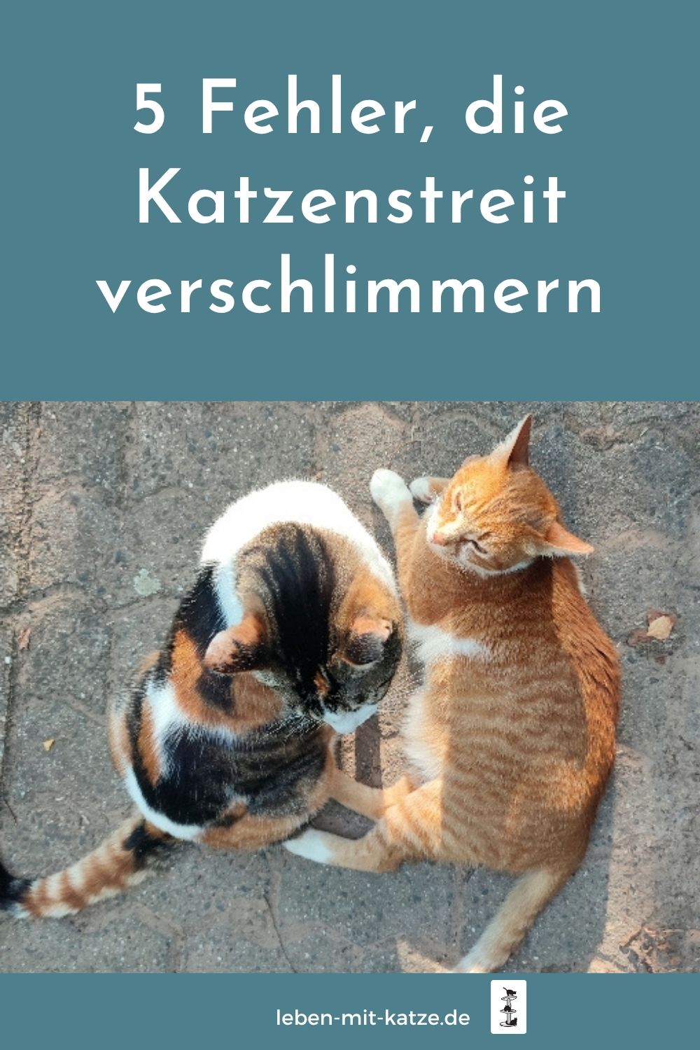 Katzen verstehen sich nicht, Katzen streiten