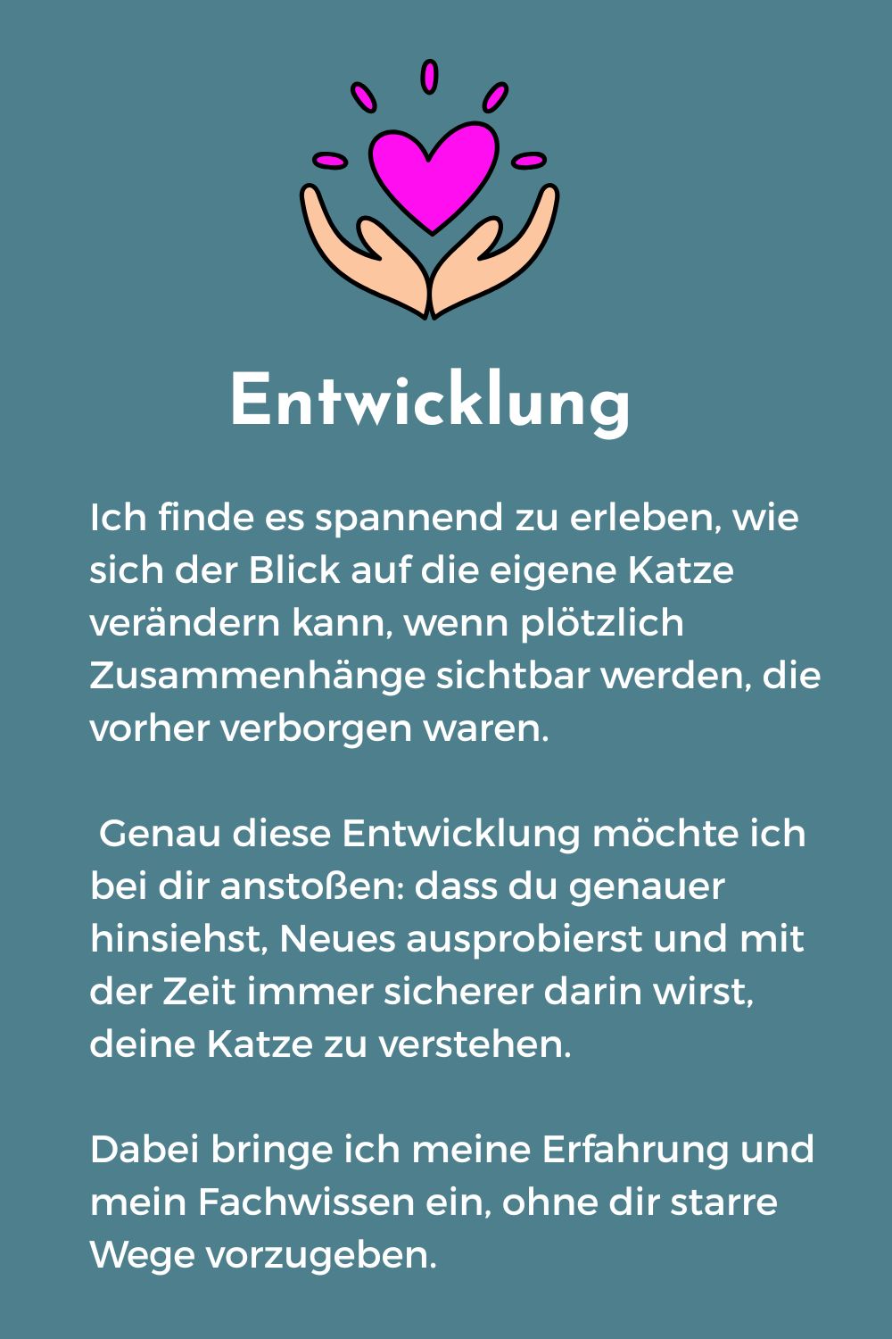 Werte von Leben mit Katze Katja Henopp Entwicklung