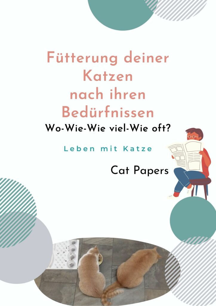 Katzen bedürfnisgerecht füttern