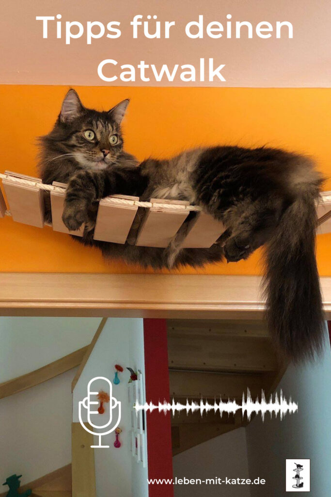Leben mit Katze Podcast Catwalk, Kletterwand, katzenbeziehungen verbessern