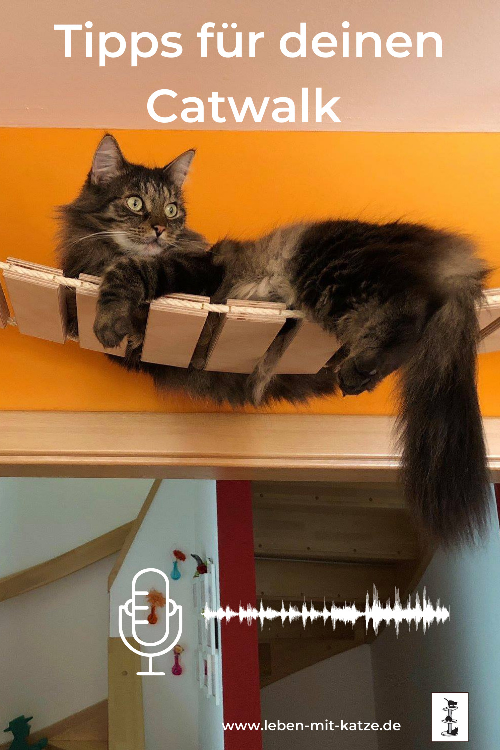 Catwalk Leben mit Katze Podcast Catwalk, Kletterwand
