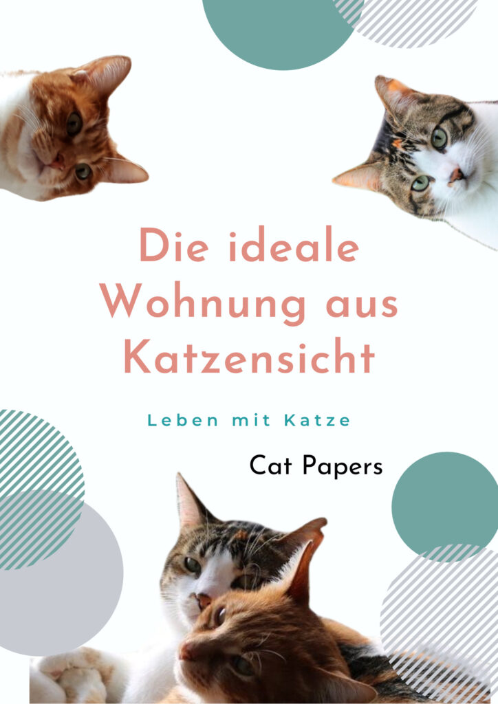 katzengerechte Wohnung