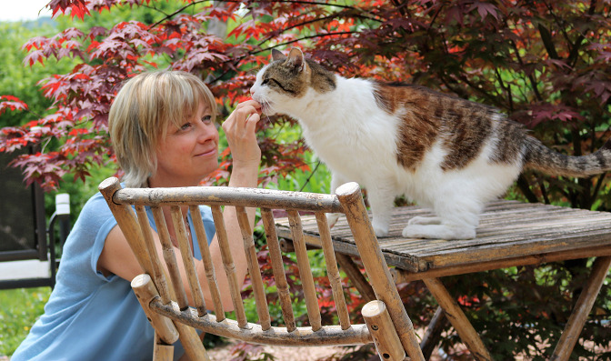 Tiertrainer für Katzen