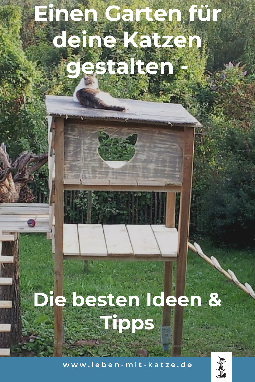 Katzen Garten Ideen Gartengestaltung für deine Katzen